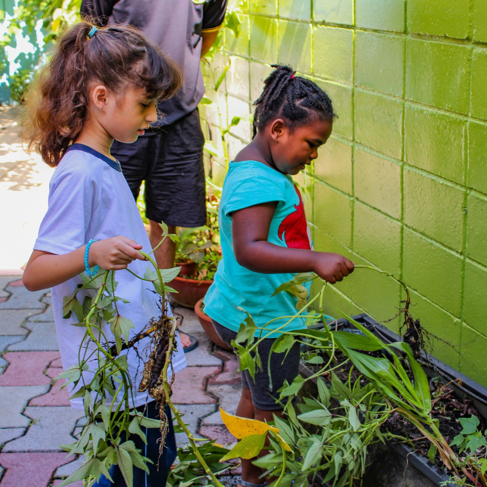 Oficina na horta aproxima famílias do cuidado com a alimentação e a natureza na unidade Vila Mariana